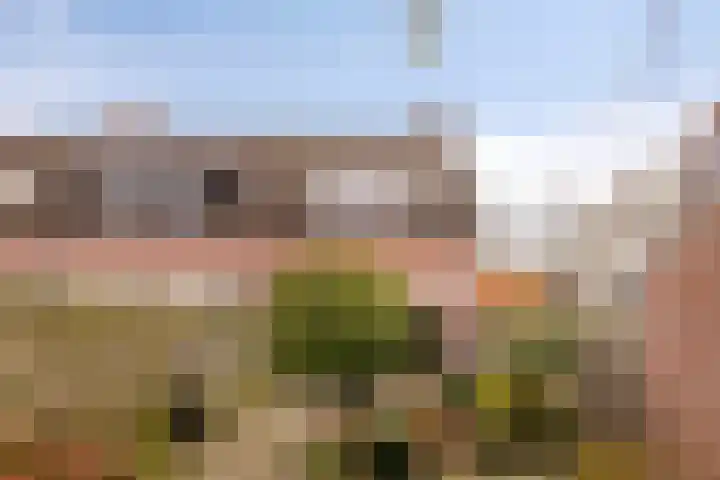 Vliethof 44 Terheijden thumbnail 35