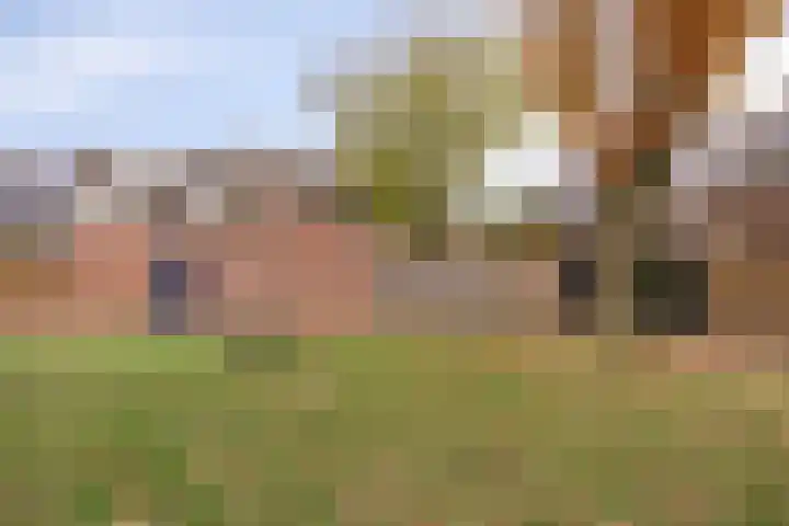 Vliethof 44 Terheijden thumbnail 37