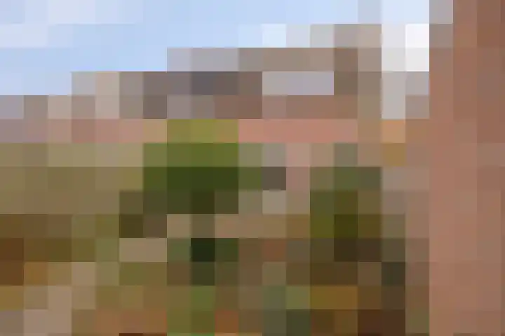 Vliethof 44 Terheijden thumbnail 4