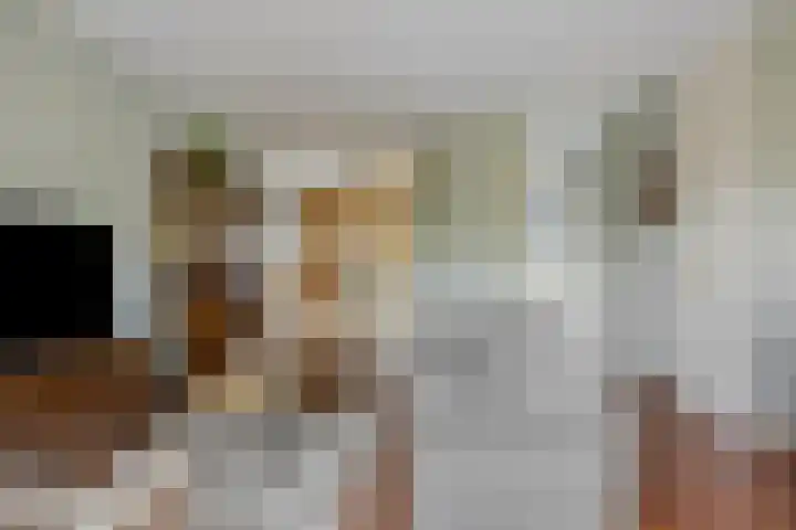 Vliethof 44 Terheijden thumbnail 8