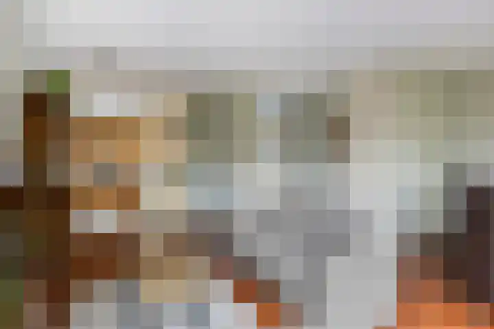 Vliethof 44 Terheijden thumbnail 9