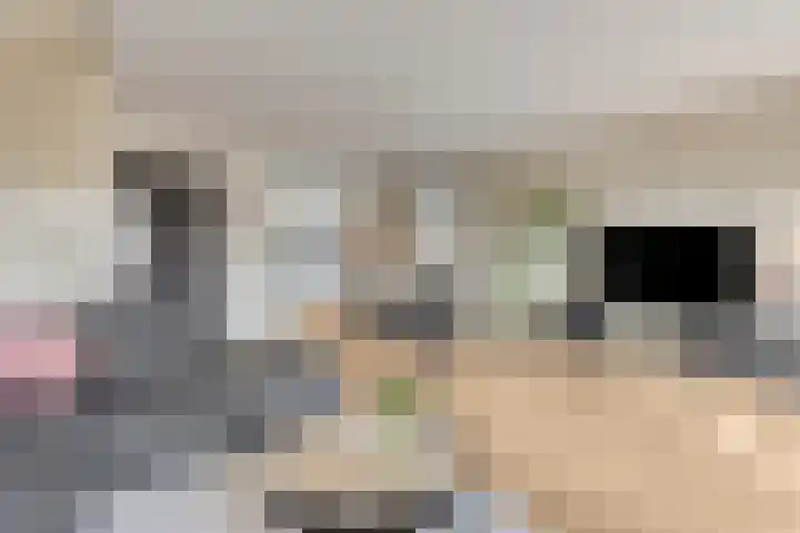 Vliethof 54 Terheijden thumbnail 10