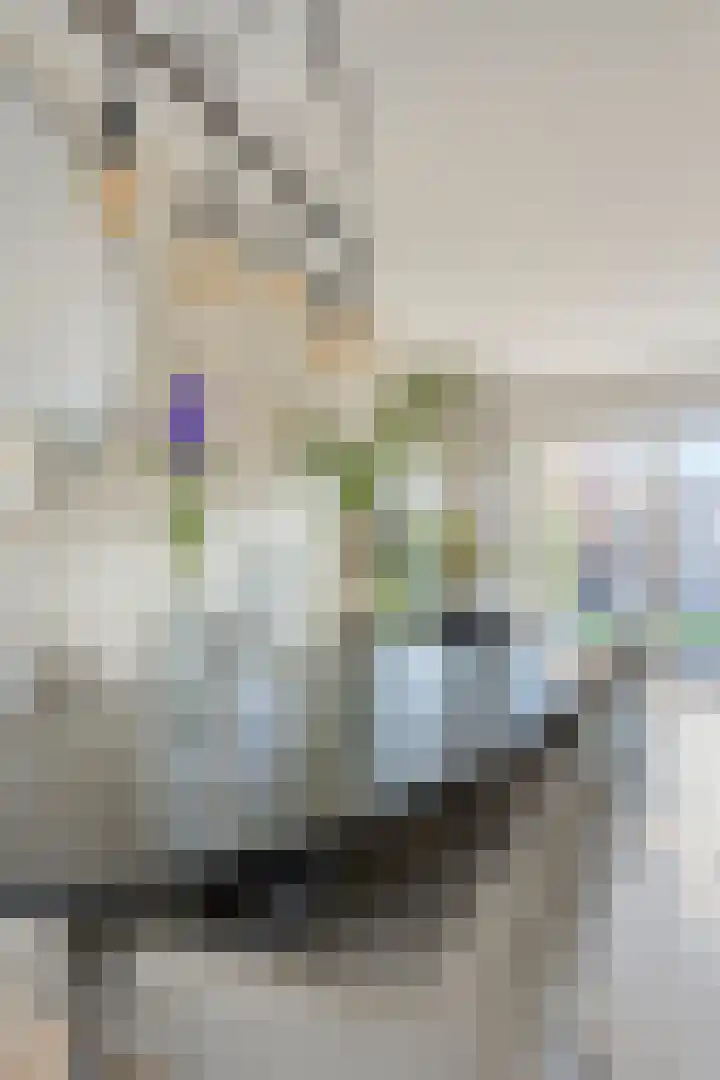 Vliethof 54 Terheijden thumbnail 14