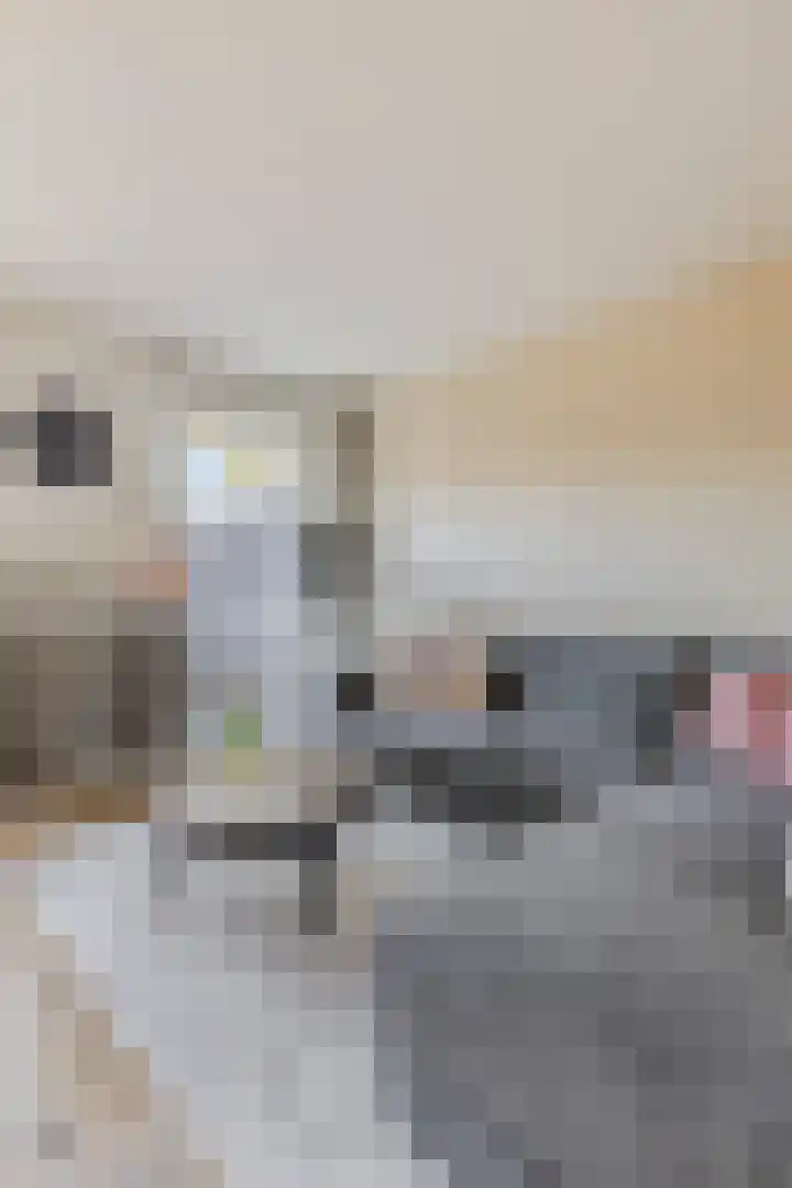 Vliethof 54 Terheijden thumbnail 15