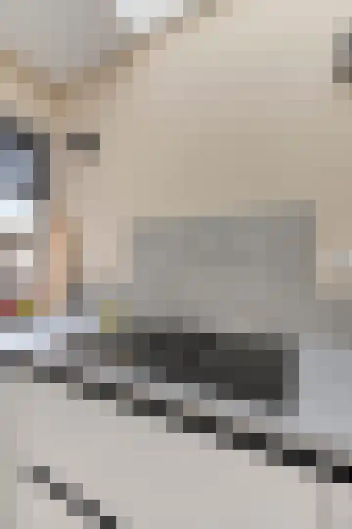 Vliethof 54 Terheijden thumbnail 18
