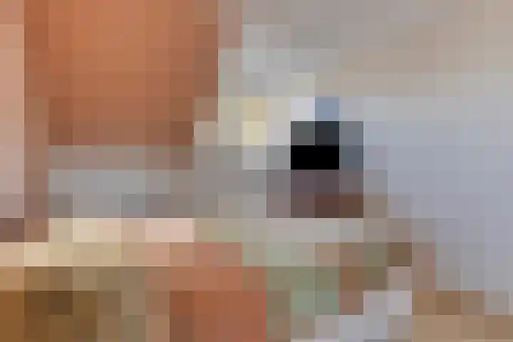 Vliethof 54 Terheijden thumbnail 22