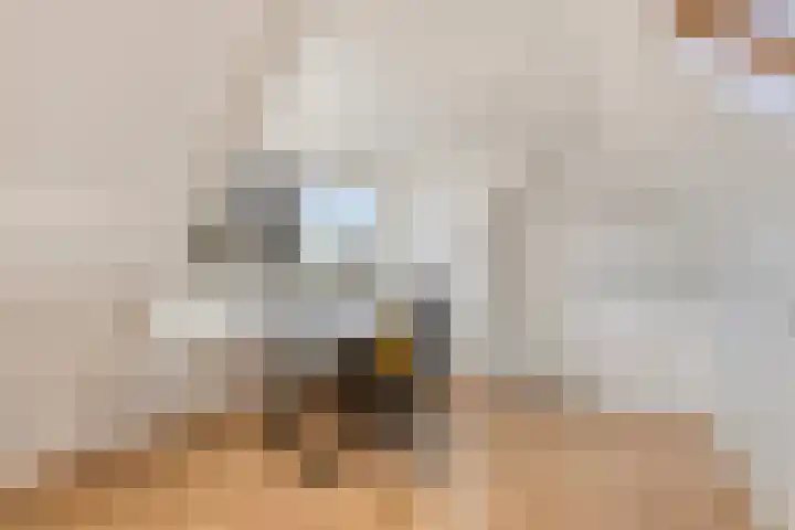 Vliethof 54 Terheijden thumbnail 31