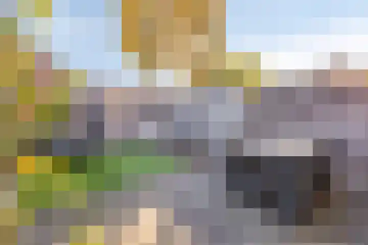 Vliethof 54 Terheijden thumbnail 32