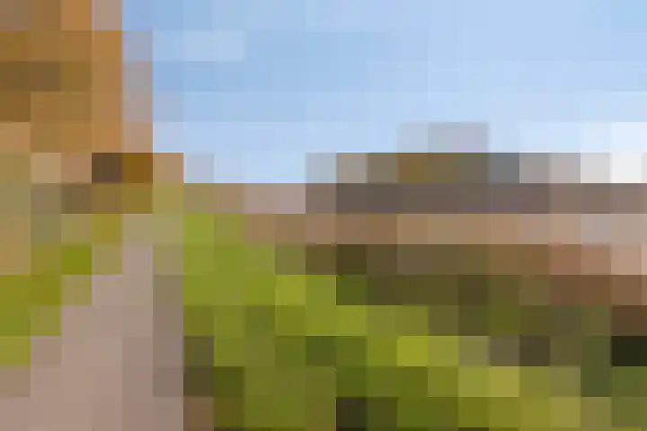 Vliethof 54 Terheijden thumbnail 40