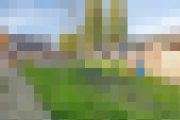 Vliethof 54 Terheijden thumbnail 41
