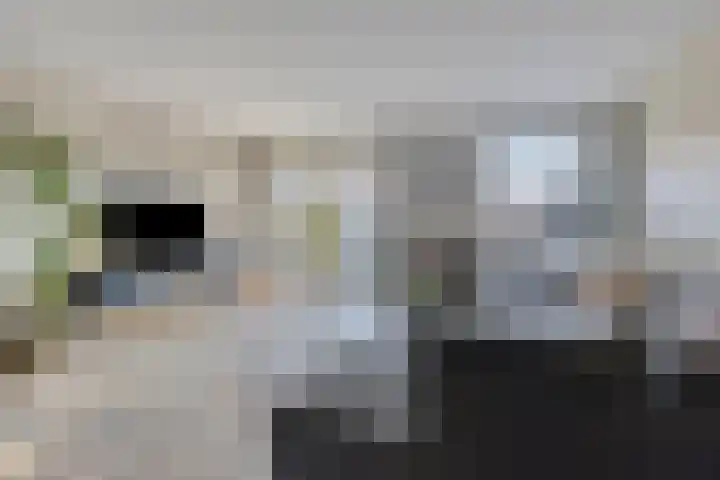 Vliethof 54 Terheijden thumbnail 7