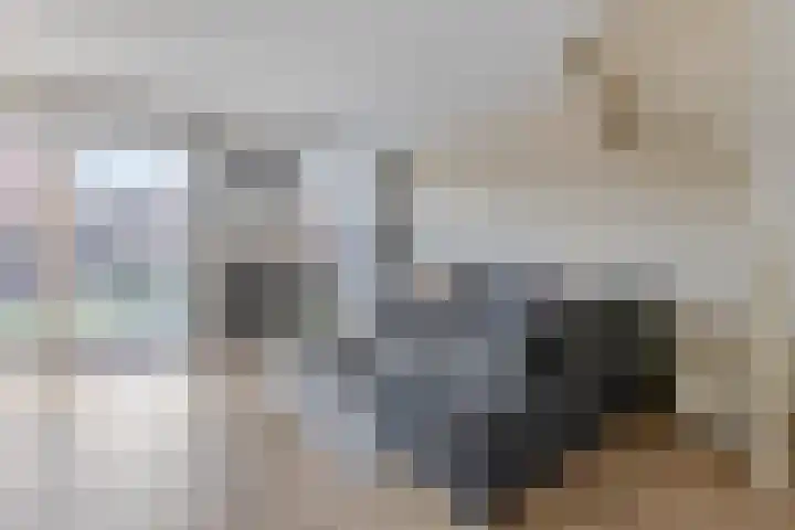Vliethof 54 Terheijden thumbnail 8