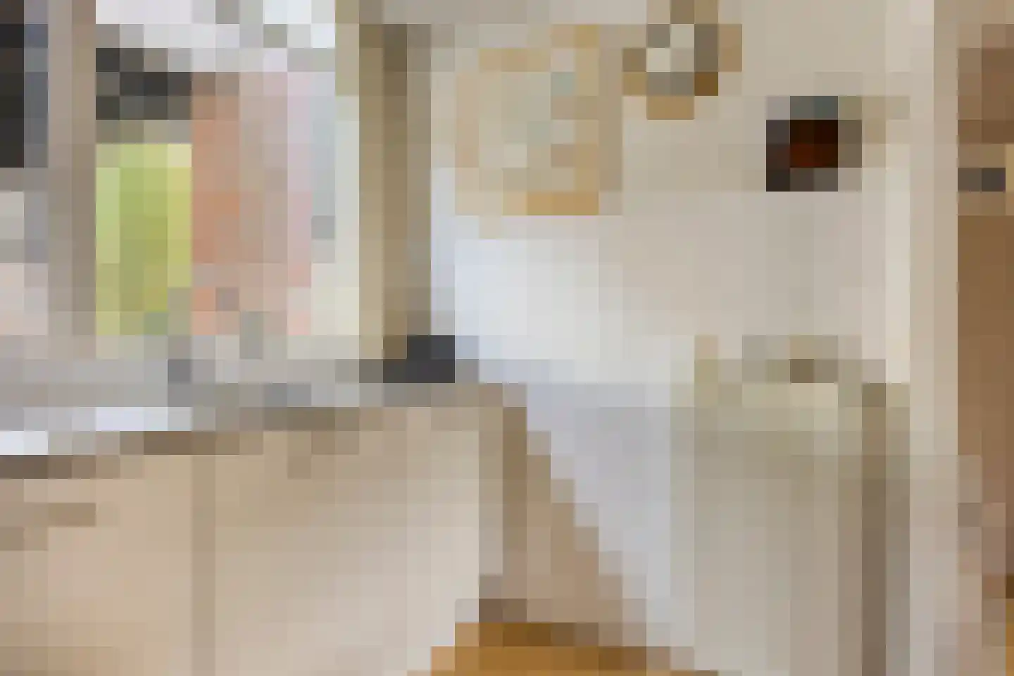 Vliethof 61 Terheijden thumbnail 12