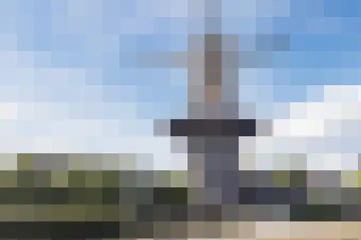 Vliethof 66 Wateringen thumbnail 43