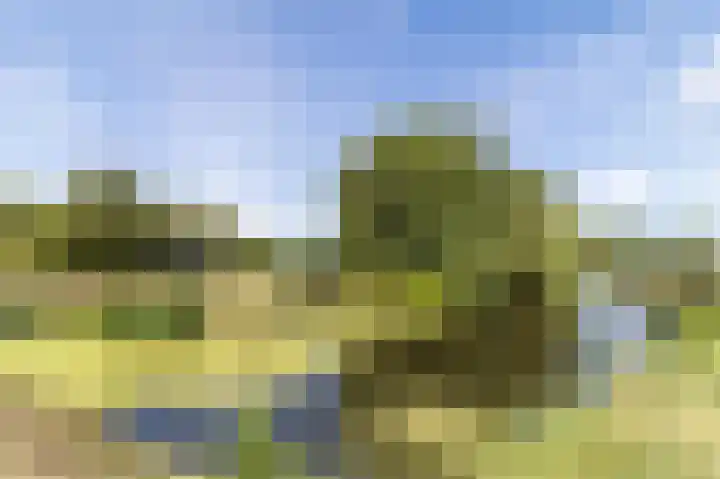 Vliethof 66 Wateringen thumbnail 44