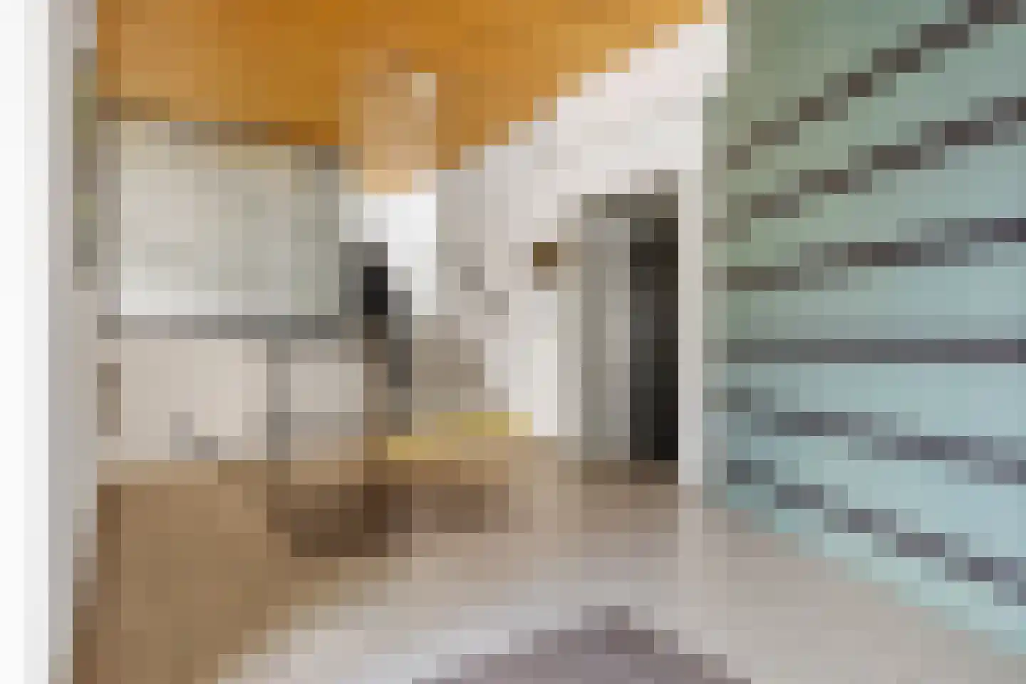 Vliethof 69 Wateringen thumbnail 10