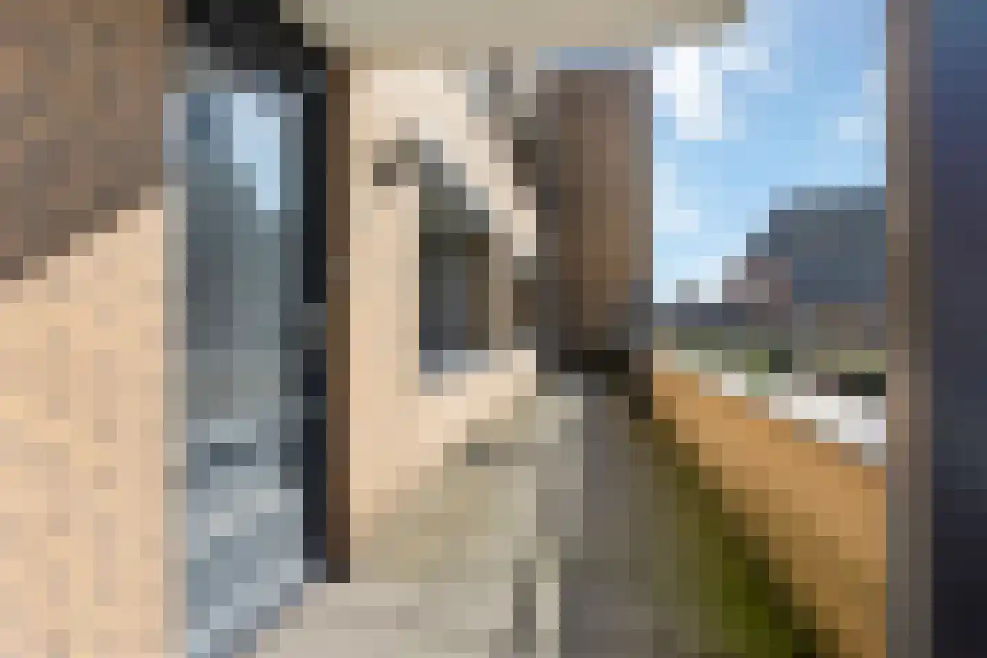 Vliethof 69 Wateringen thumbnail 11