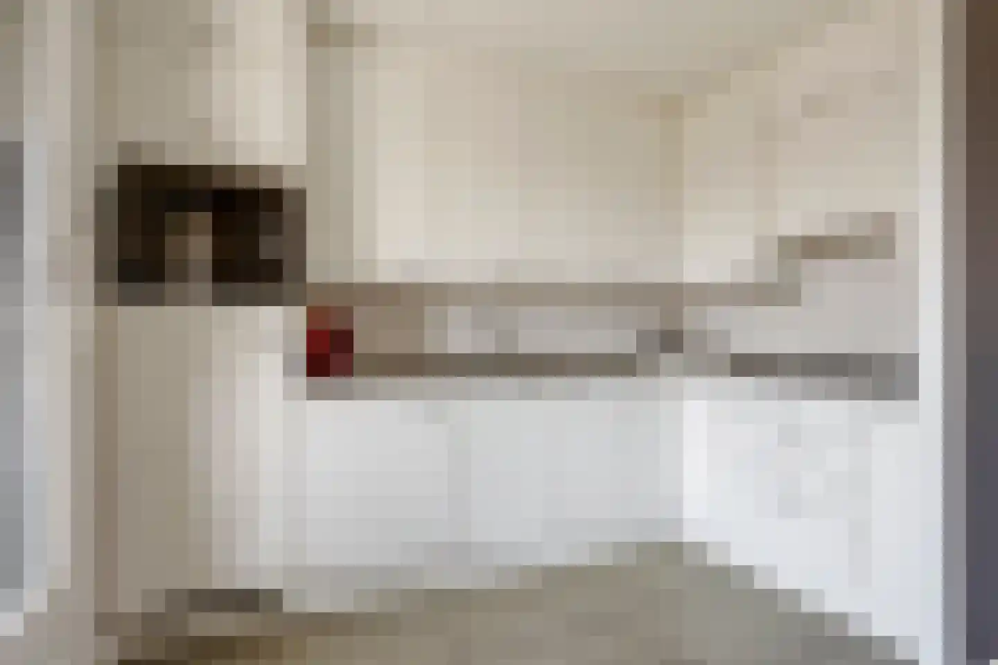 Vliethof 69 Wateringen thumbnail 15