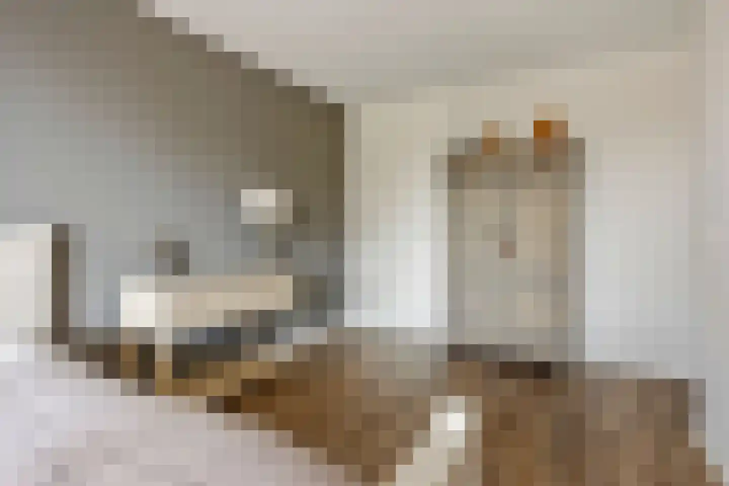 Vliethof 69 Wateringen thumbnail 19