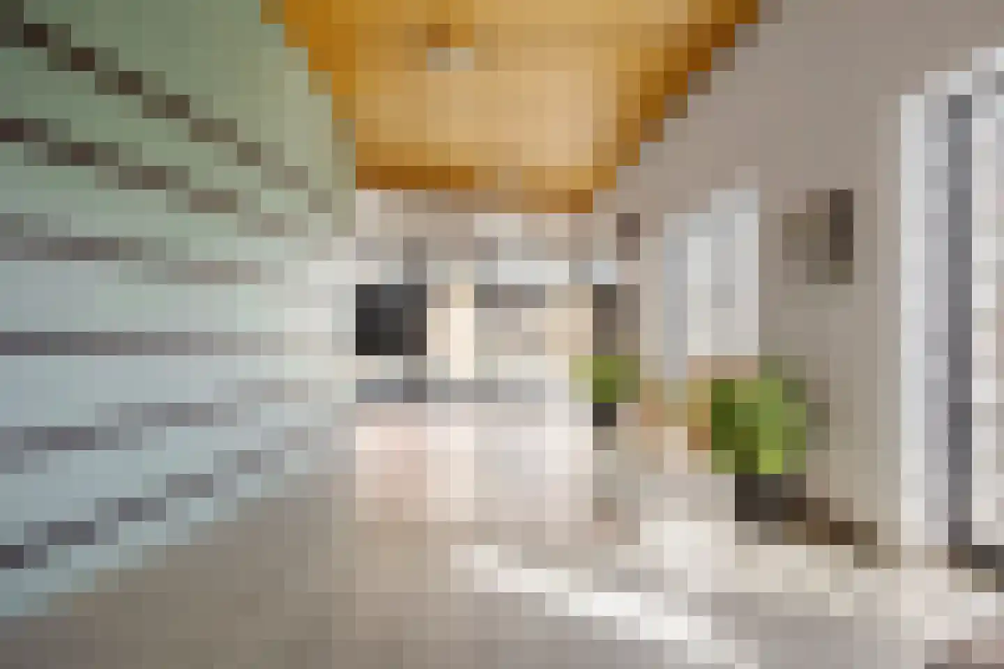 Vliethof 69 Wateringen thumbnail 30