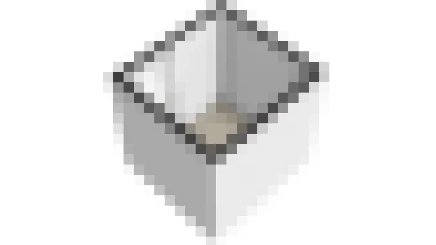 Vliethof 69 Wateringen thumbnail 47