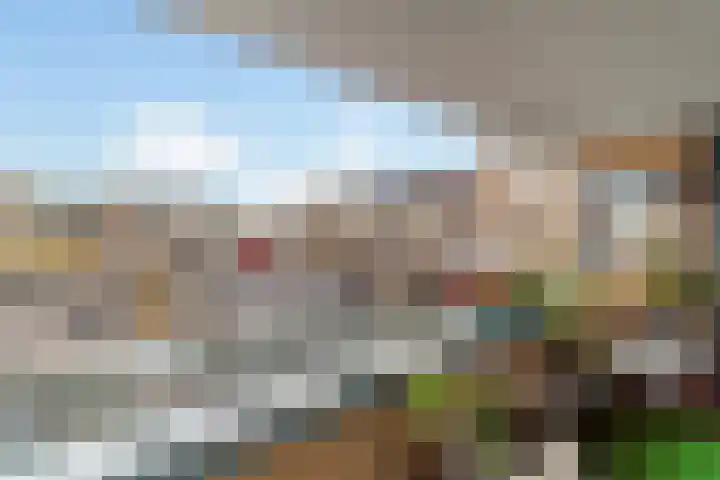 Vliethof 70 Wateringen thumbnail 10