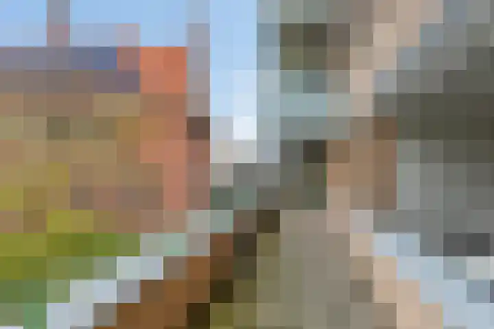 Vliethof 70 Wateringen thumbnail 22