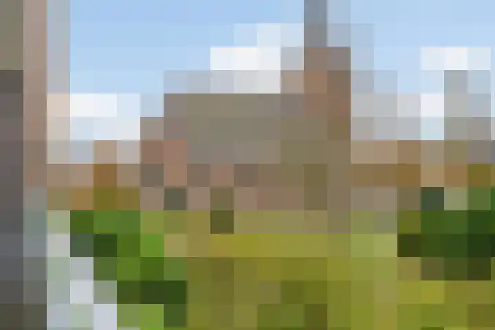 Vliethof 70 Wateringen thumbnail 28