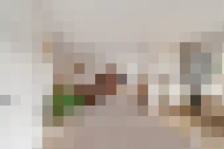 Vliethof 70 Wateringen thumbnail 5