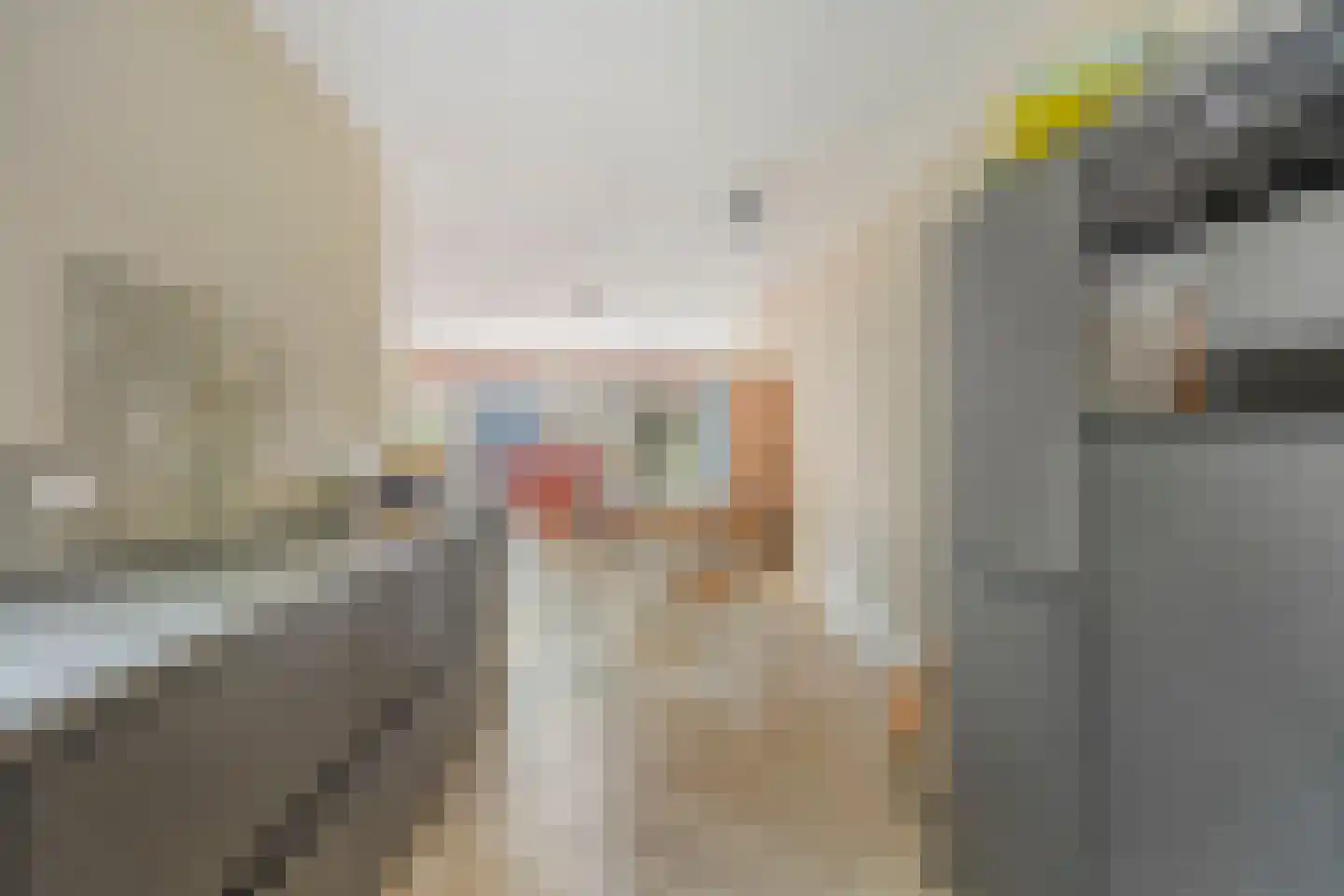 Vliethof 8 Terheijden thumbnail 17