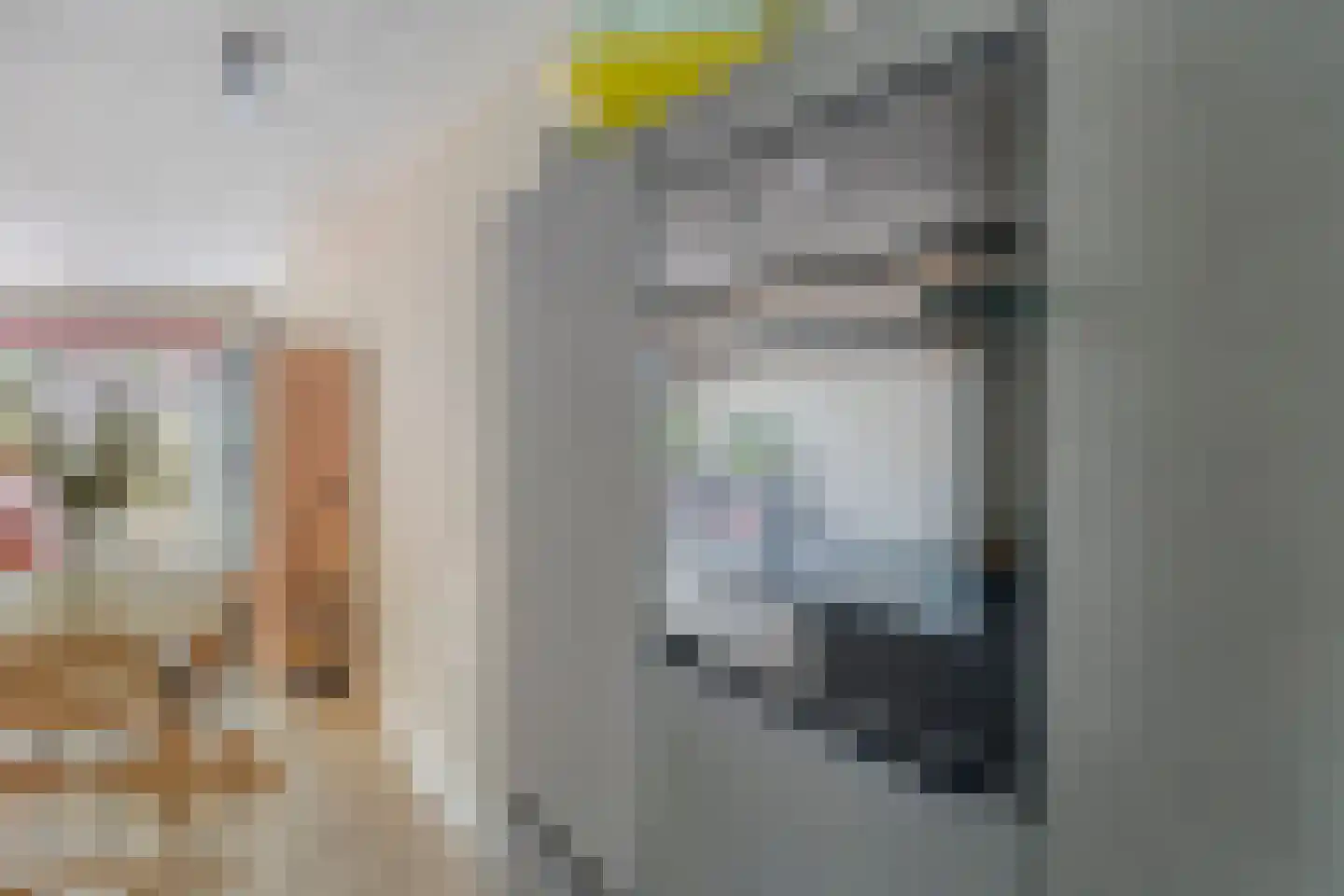 Vliethof 8 Terheijden thumbnail 18
