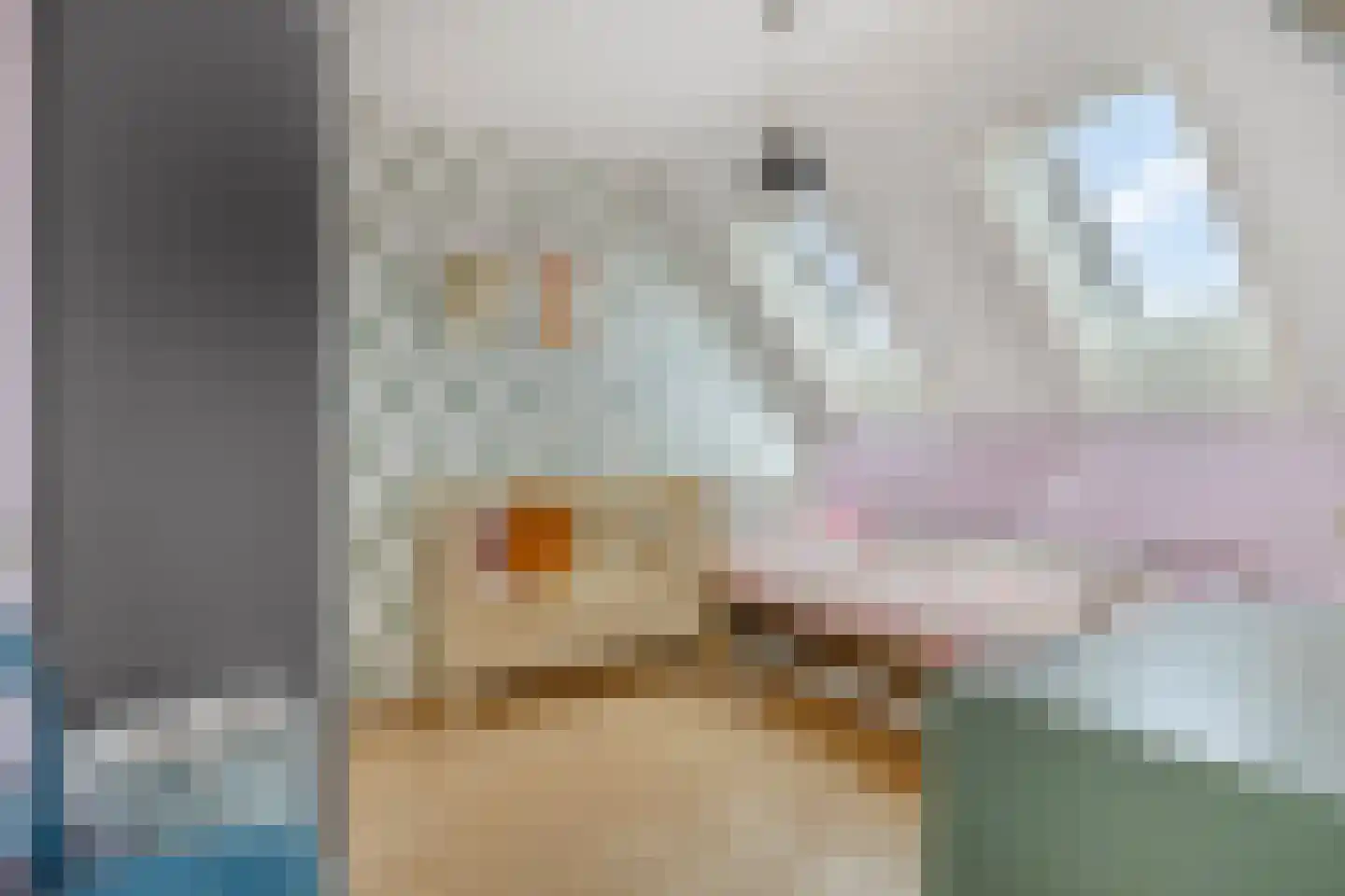 Vliethof 8 Terheijden thumbnail 23