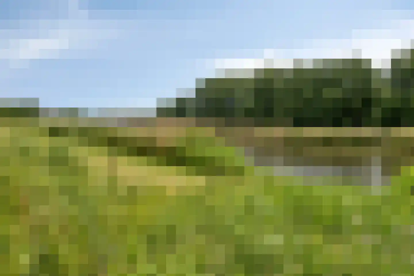 Vliethof 8 Terheijden thumbnail 42