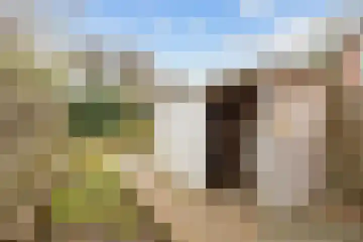 Vliethorn 18 Farmsum thumbnail 26