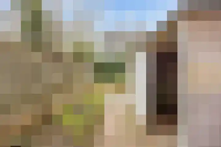Vliethorn 18 Farmsum thumbnail 27