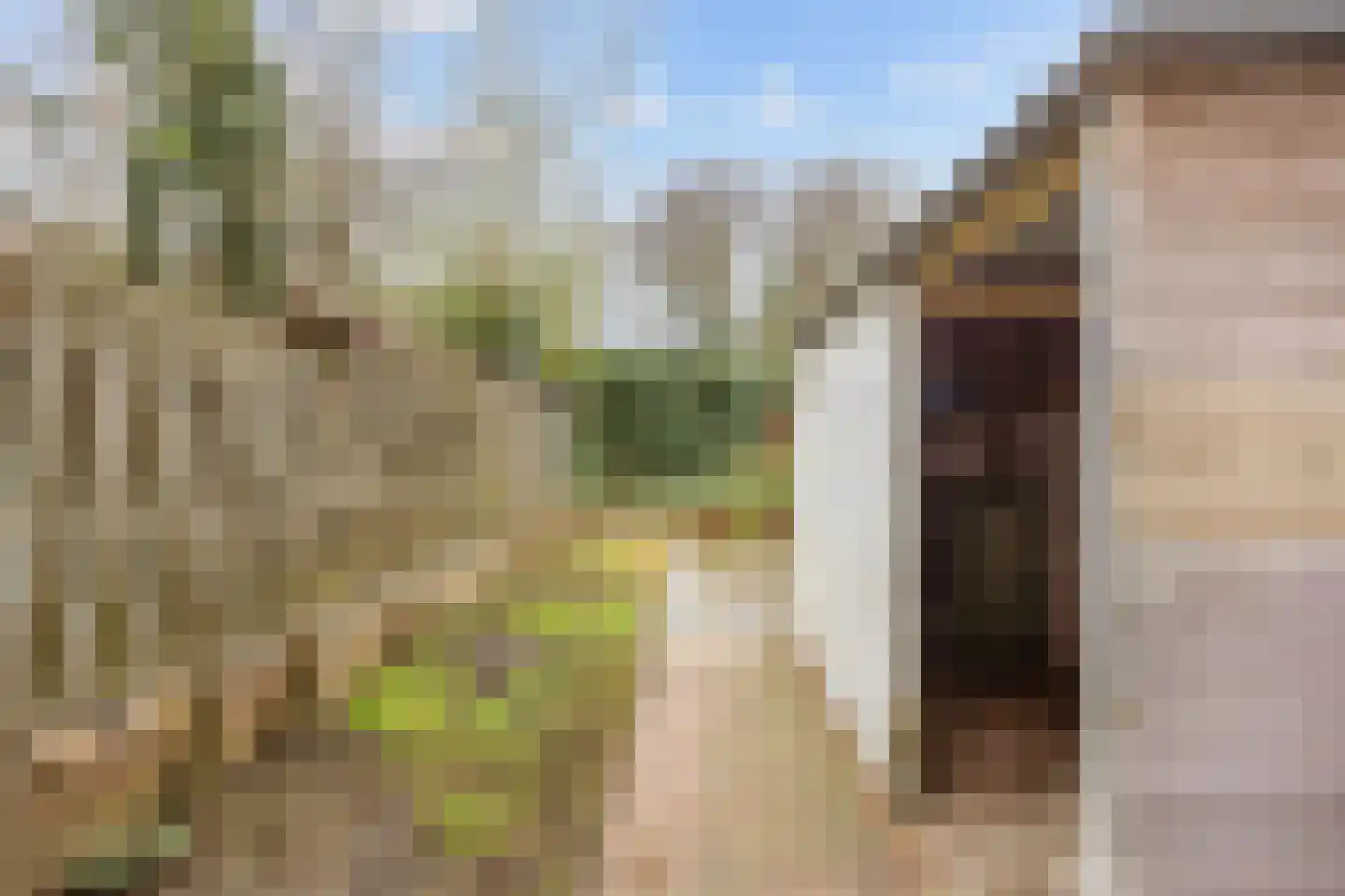 Vliethorn 18 Farmsum thumbnail 27