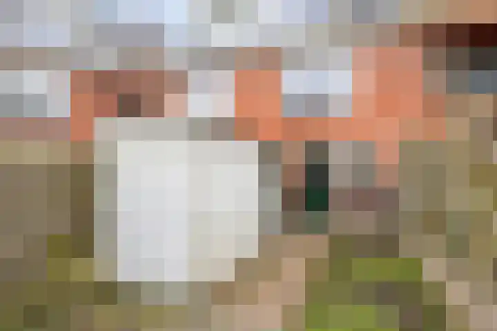 Vliethorn 18 Farmsum thumbnail 29