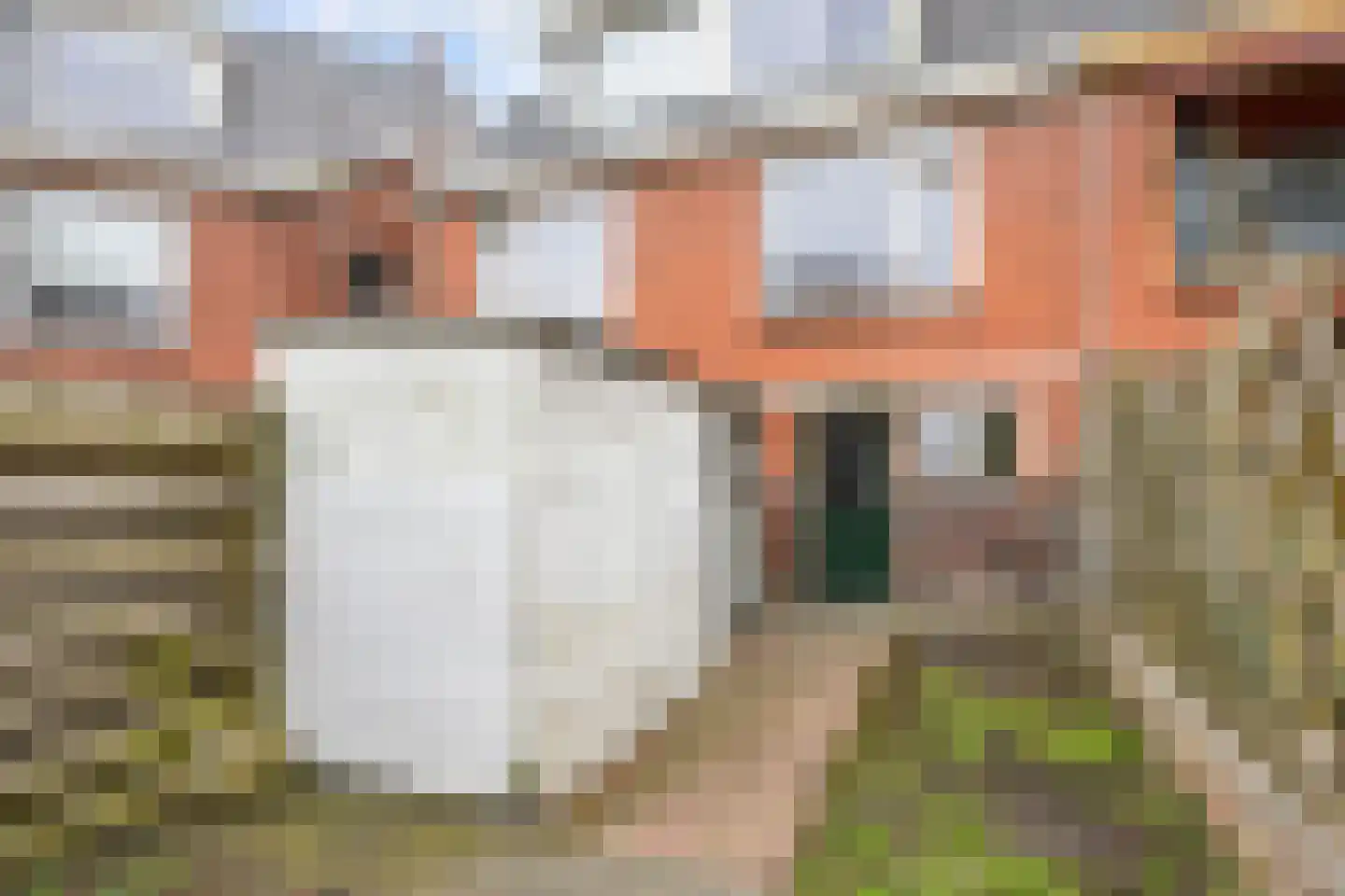 Vliethorn 18 Farmsum thumbnail 29