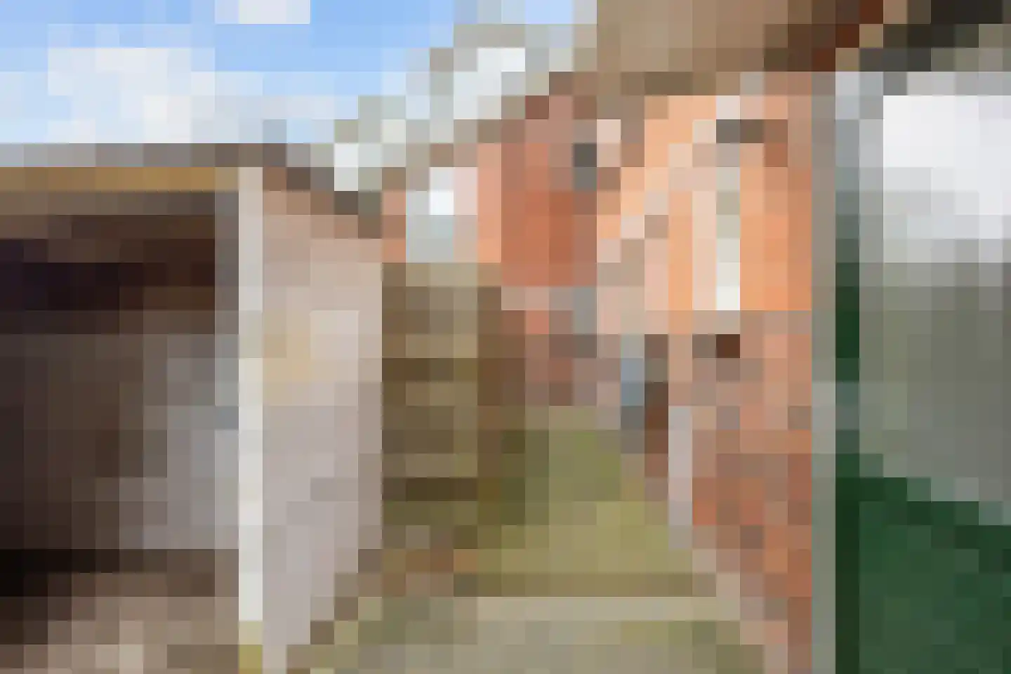Vliethorn 18 Farmsum thumbnail 30