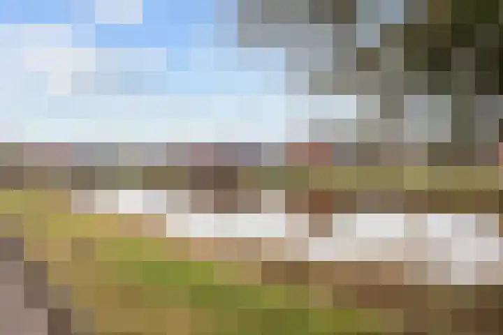 Vliethorn 18 Farmsum thumbnail 35