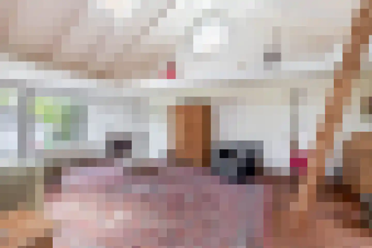 Vlietkade 11 d Zevenhuizen thumbnail 11