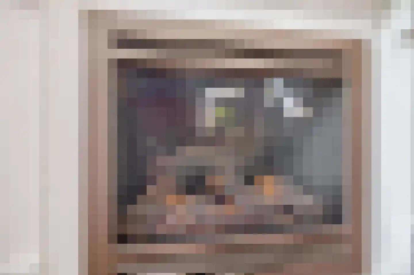 Vlietkade 11 d Zevenhuizen thumbnail 13