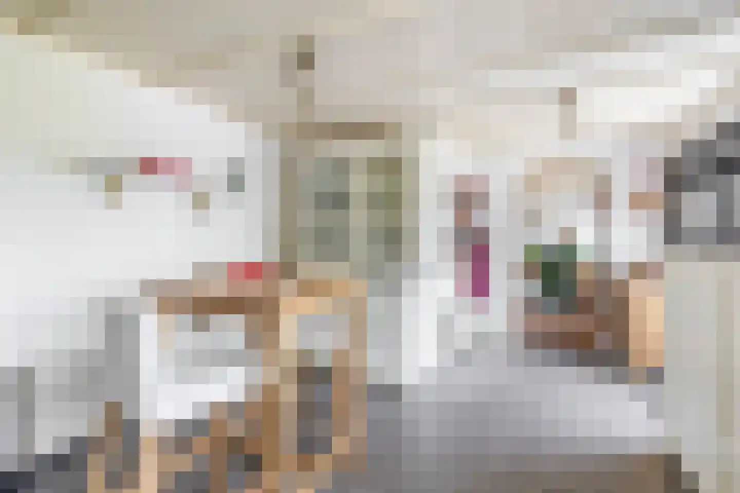 Vlietkade 11 d Zevenhuizen thumbnail 14