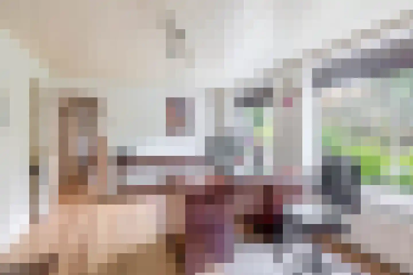 Vlietkade 11 d Zevenhuizen thumbnail 19