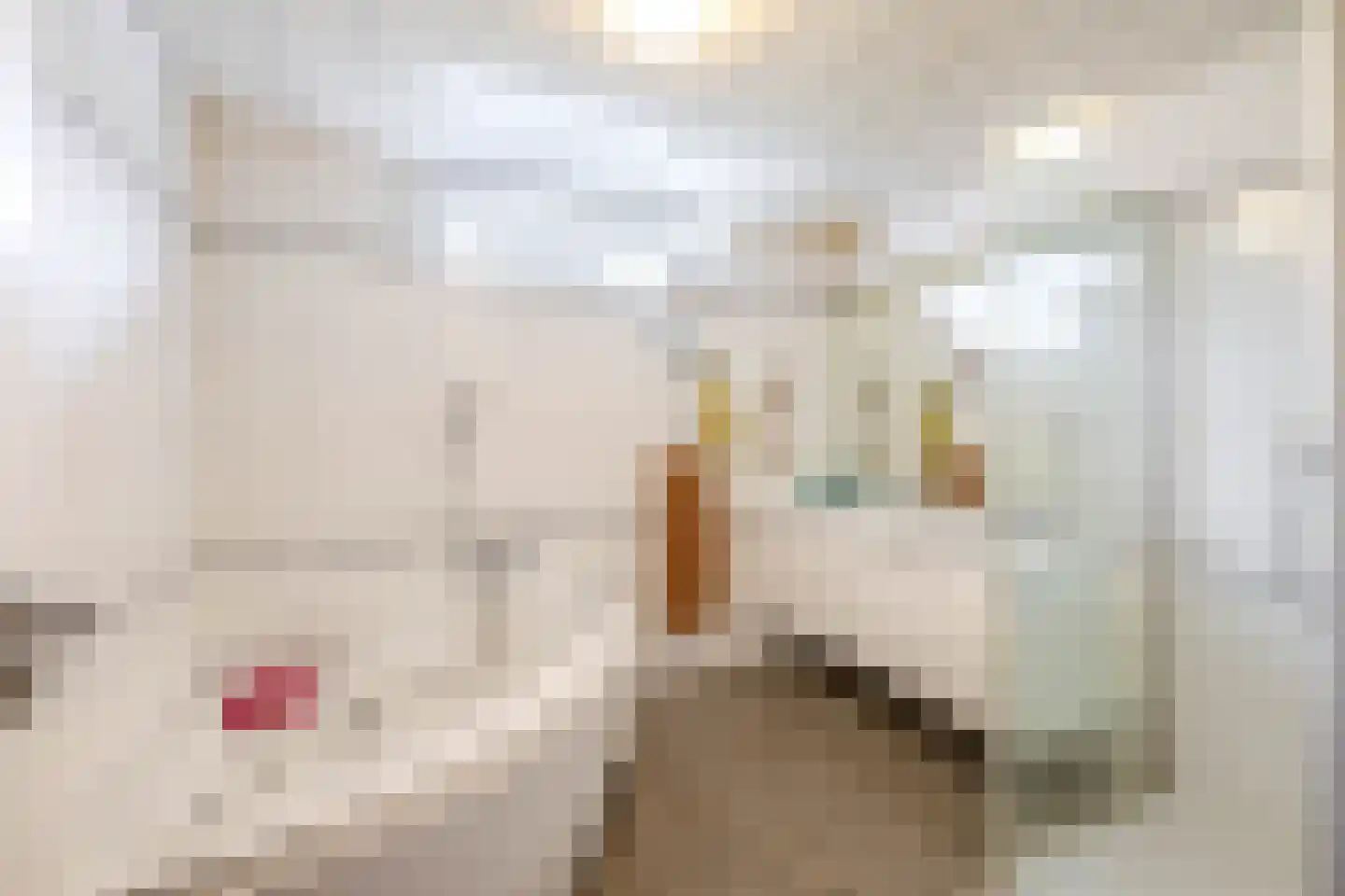 Vlietkade 11 d Zevenhuizen thumbnail 21