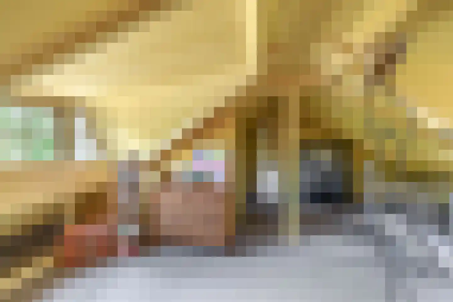Vlietkade 11 d Zevenhuizen thumbnail 24