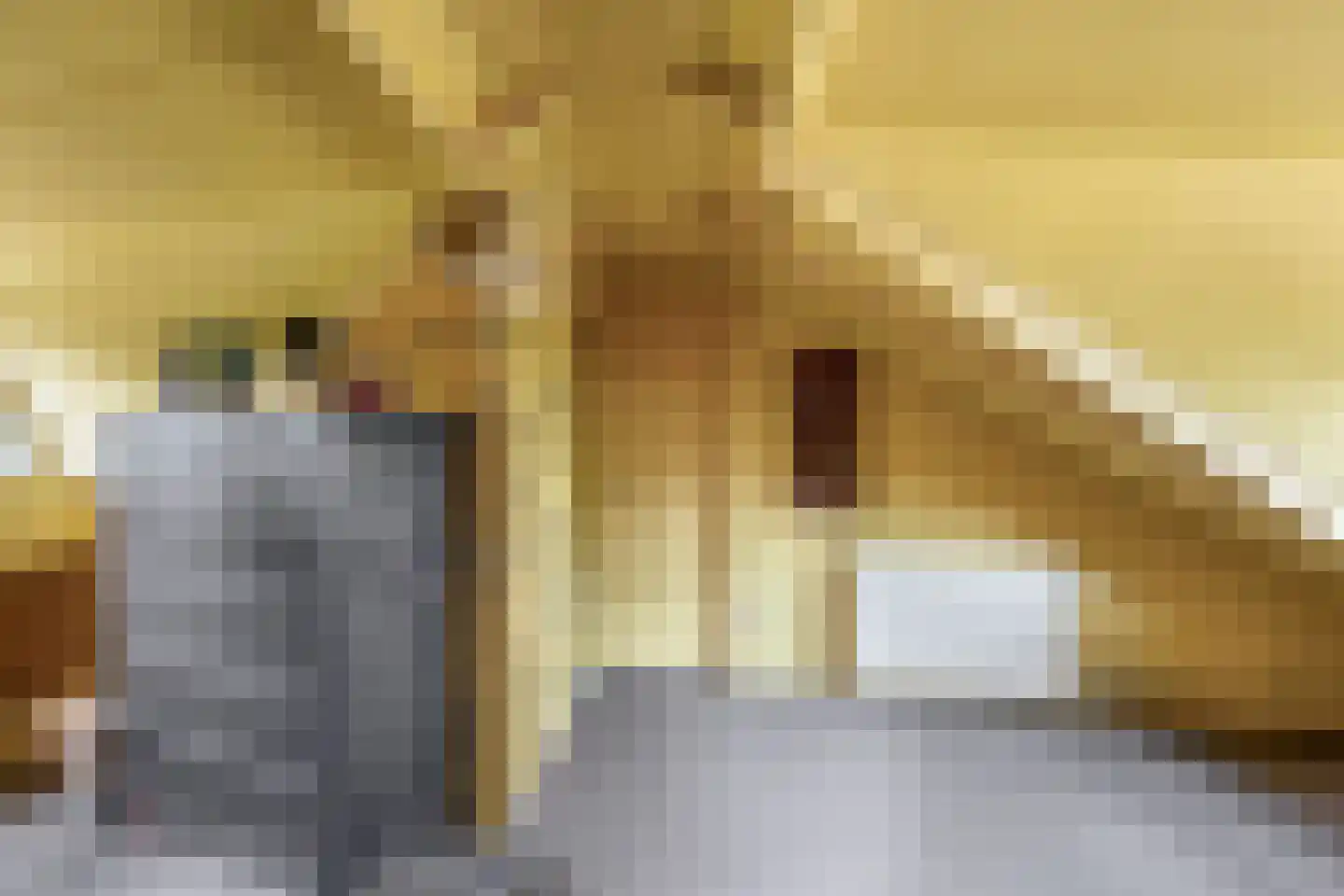 Vlietkade 11 d Zevenhuizen thumbnail 25