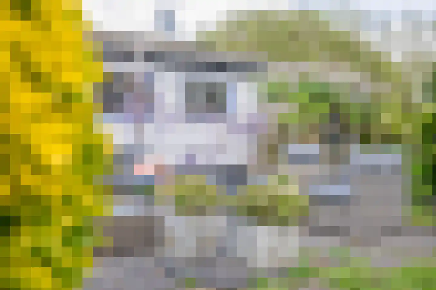 Vlietkade 11 d Zevenhuizen thumbnail 29