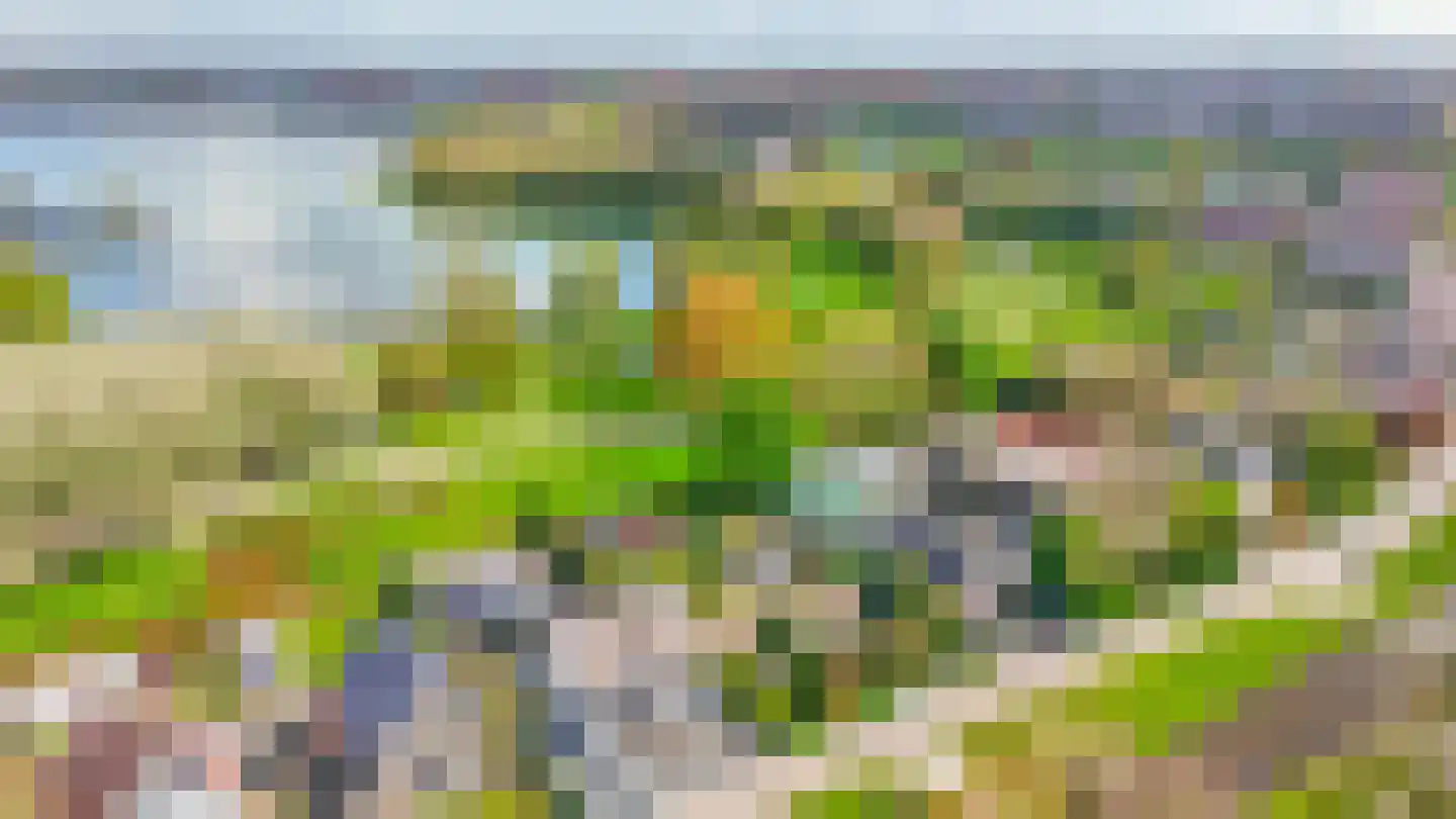 Vlietkade 11 d Zevenhuizen thumbnail 33