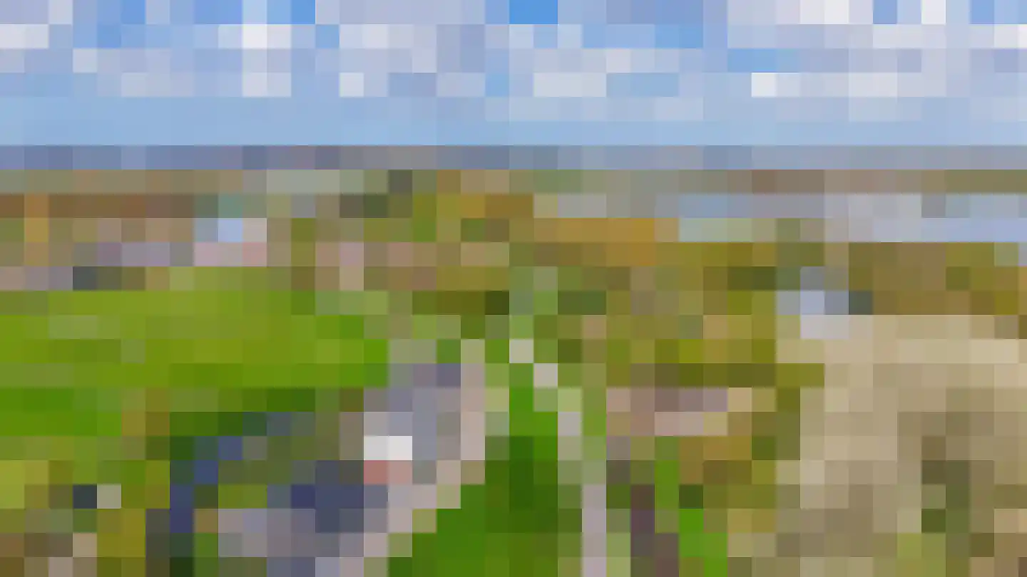 Vlietkade 11 d Zevenhuizen thumbnail 35